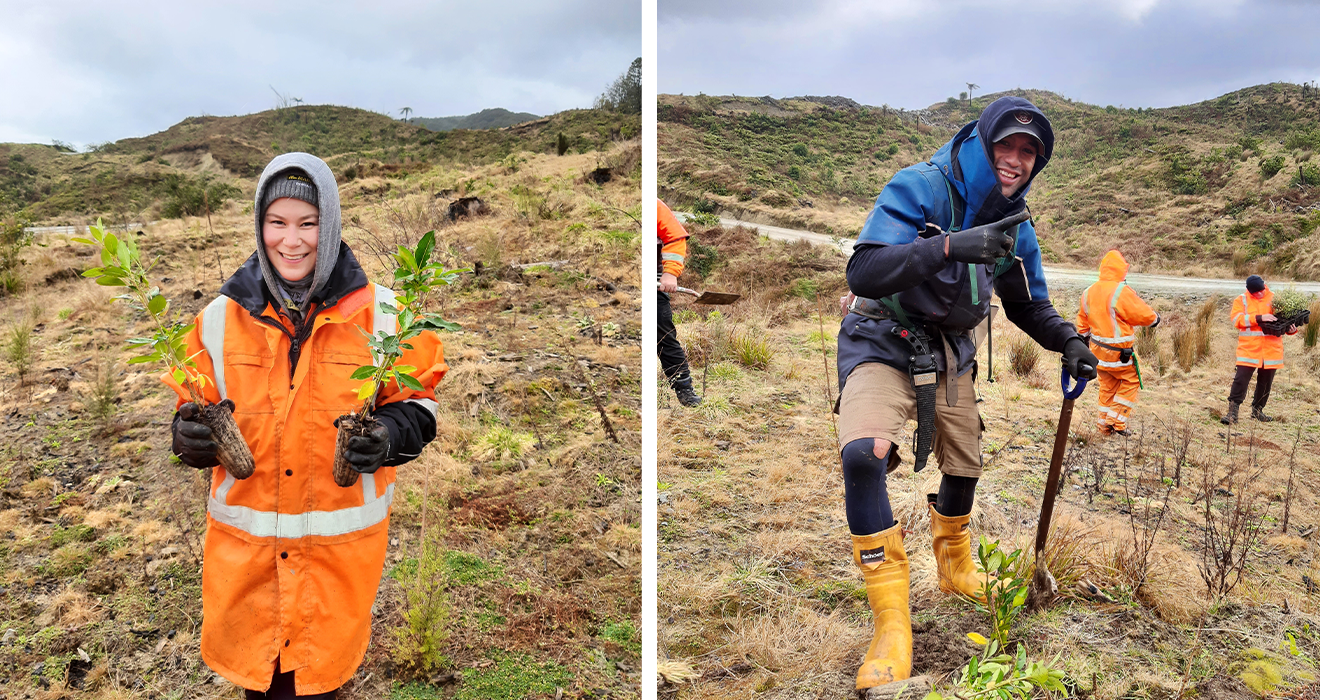 NZ Image For ITN
