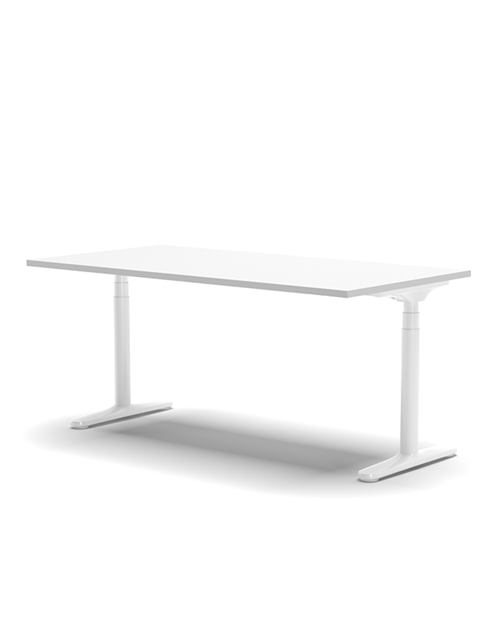 Orbis Technician Adjust Desk